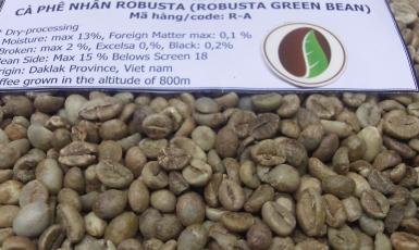 Cà phê nhân Robusta